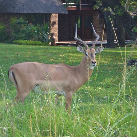 Kruger Park Lodge - Golf Safari Sa Hazyview Exterior foto