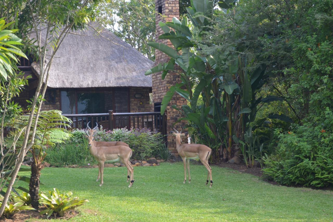 Kruger Park Lodge - Golf Safari Sa Hazyview Exterior foto