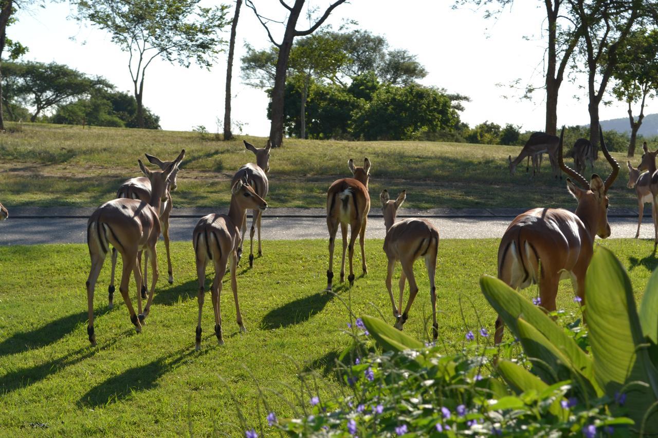 Kruger Park Lodge - Golf Safari Sa Hazyview Exterior foto